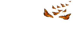 Hire a Daughter